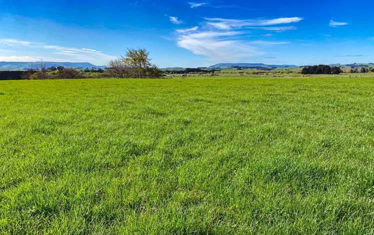 57 Island Edendale Road Edendale_13