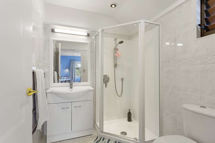 15 Burch Street Mount Albert_13