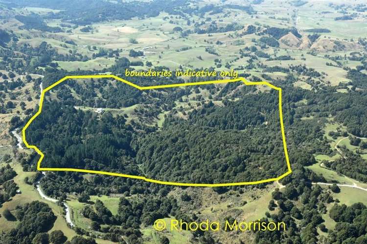 280 Central Road Mareretu_26