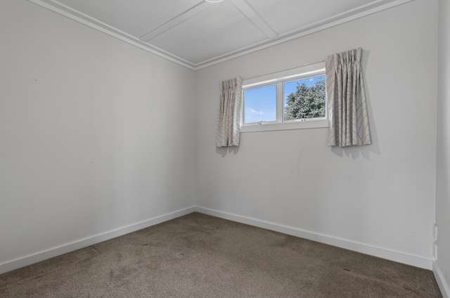 3 Jacob Place Mangawhai Heads_4