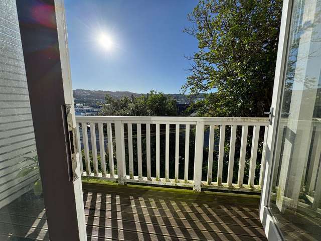 34 Austin Street Mount Victoria_1