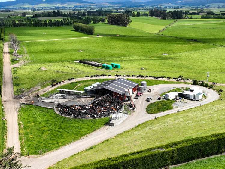 132 Guise Road Aparima_5