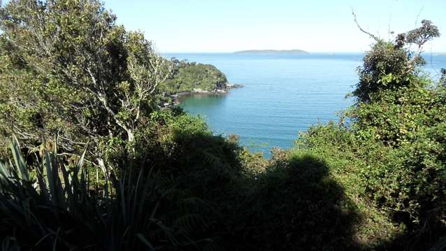 1 Traill Road Stewart Island/Rakiura_4