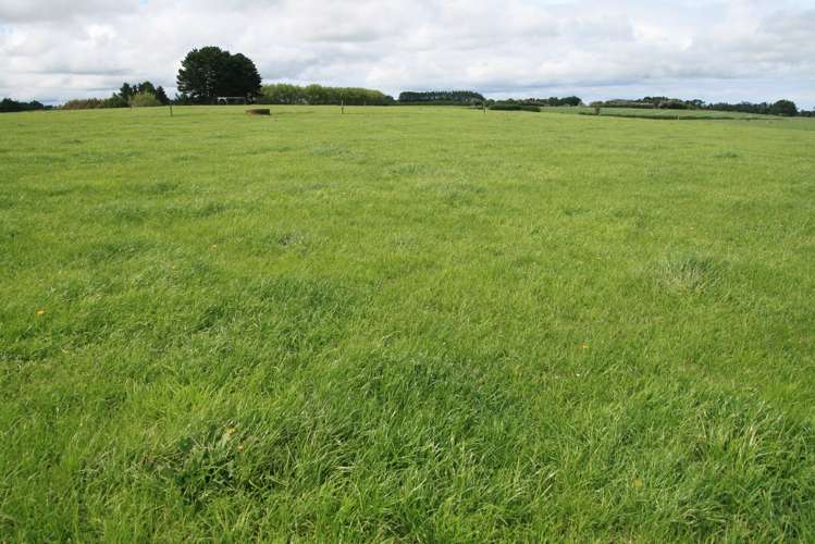 178 Omahuru Road Okaiawa_21