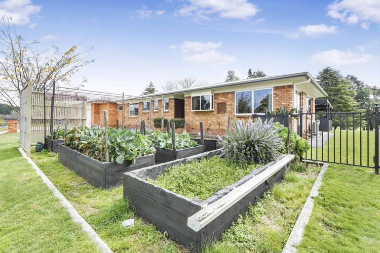 31 Mcghie Road Kihikihi_27