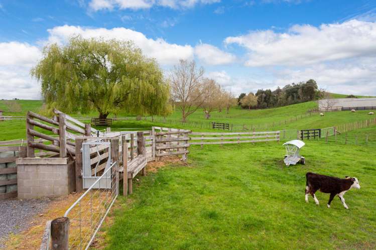 115 Gunn Road Matamata_30