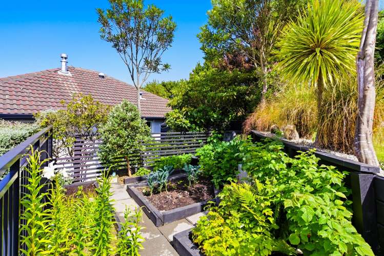 37 Earls Road St Clair_32