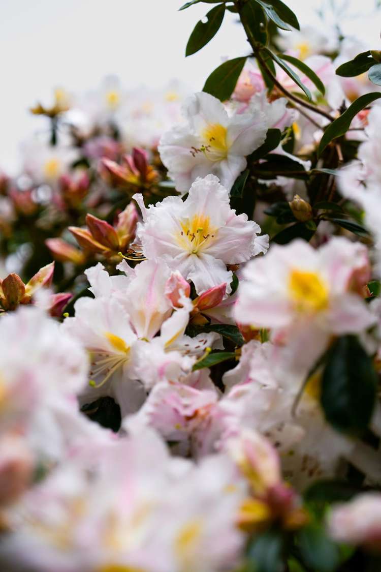 40 Walden Lane Te Puna_26