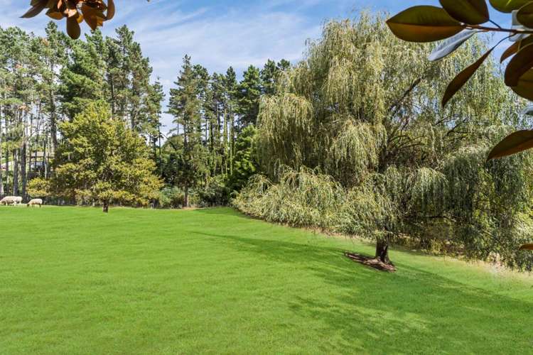 96 Ranfurly Road Alfriston_11