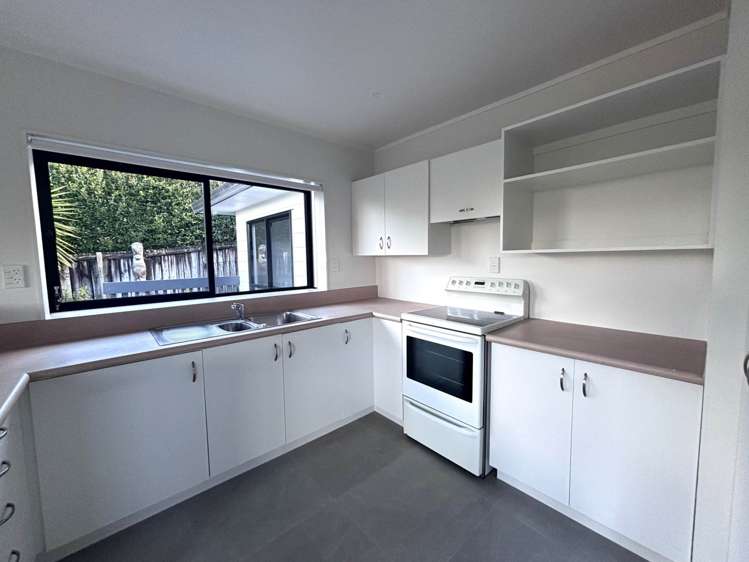 99d Captain Scott Road Glen Eden_3