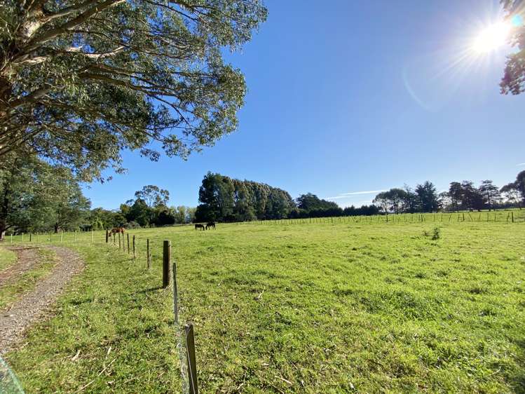 258a Gladstone Road Levin_8