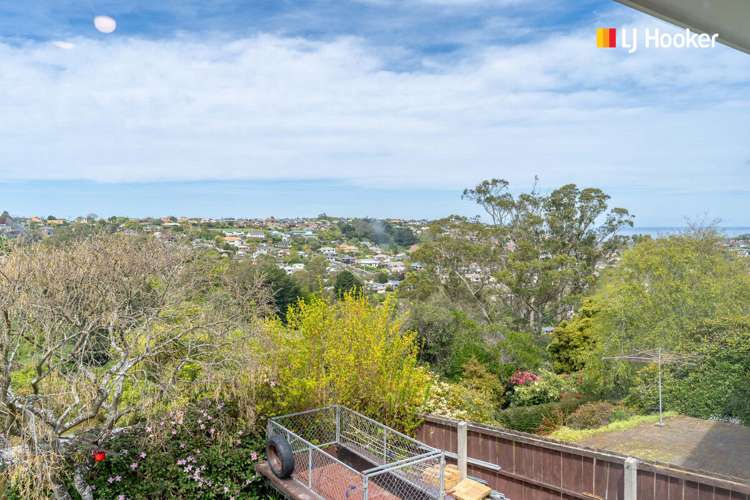 10 Archibald Street Waverley_15