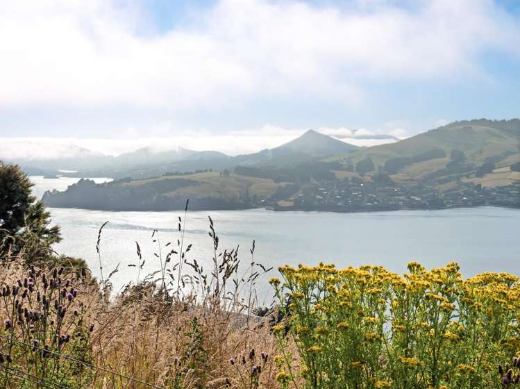 65 Kakapo Street Saint Leonards_14