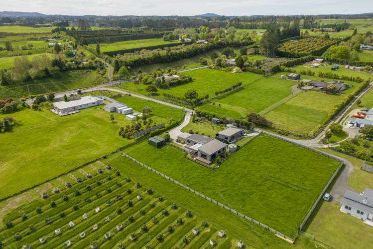 534b Mclaren Falls Road Kaimai_17