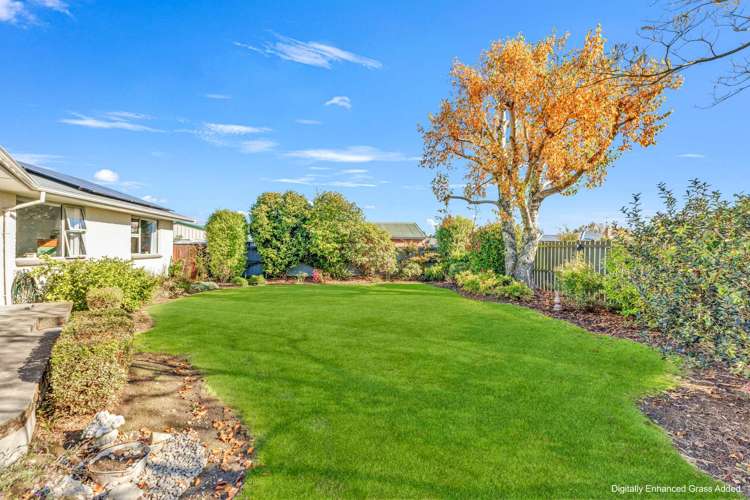 121 George Street Tinwald_21