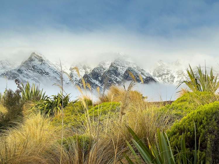 6A Kinross Lane Jacks Point_14