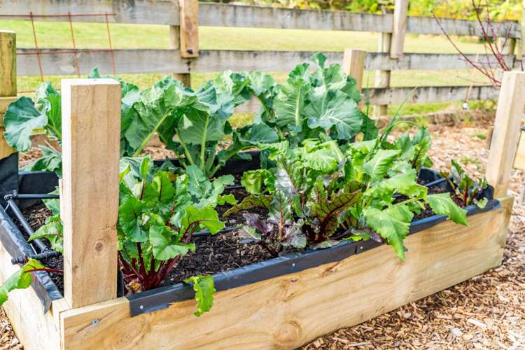 76 Riverstream Drive Kerikeri Surrounds_17