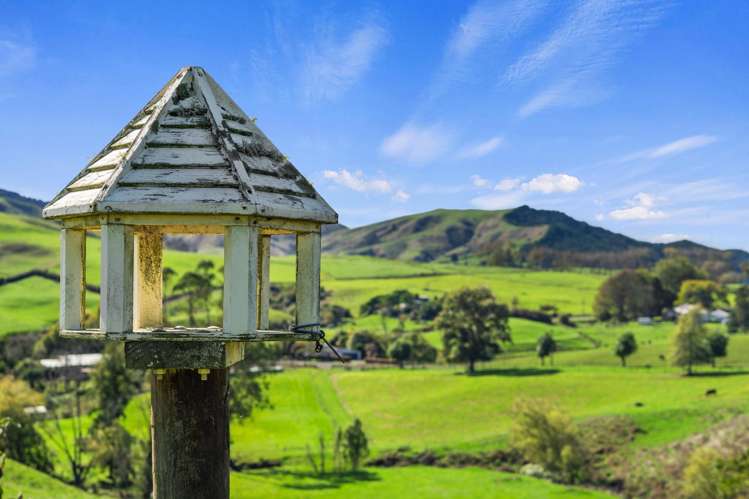 998 Limeworks Loop Road Te Pahu_28