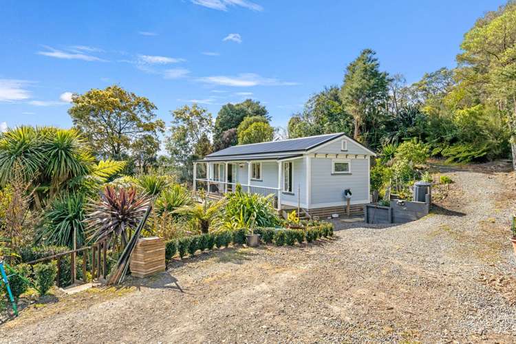 16 Angle Street Picton_16