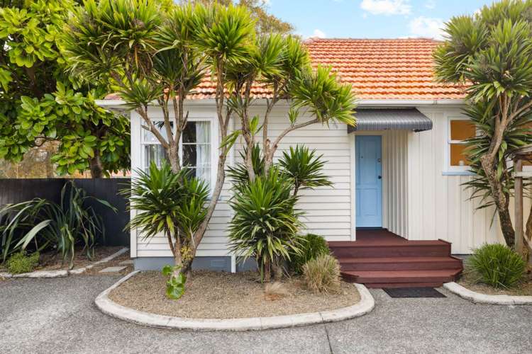 33b Orchard Street Avondale_10