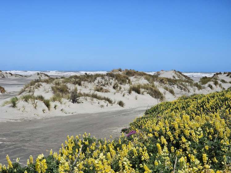 39 Muaupoko Street Hokio Beach_12