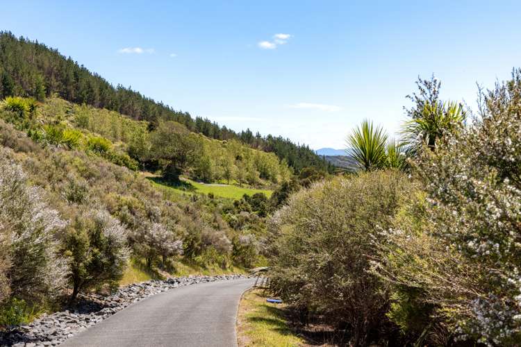 Manunui Coastal Estate Pakiri_6