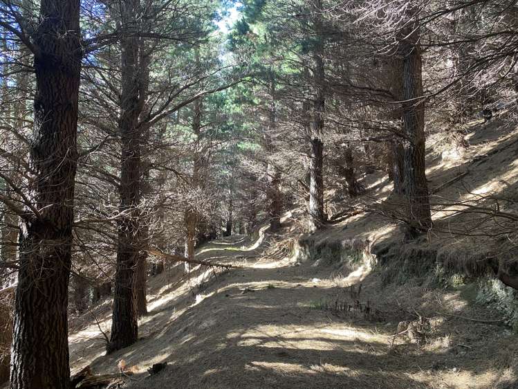 245 Sladdens Bush Road Oxford_13