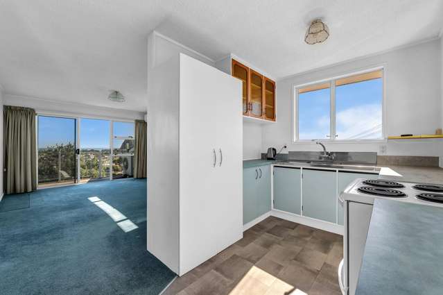 15a Crownhill Street Spotswood_3