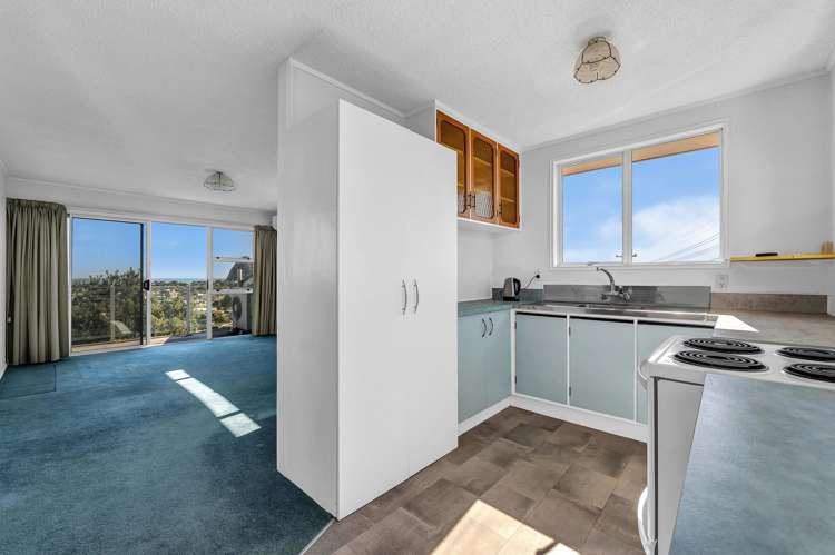 15a Crownhill Street_3