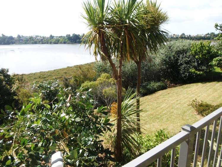 71 Princess Road Bellevue_13