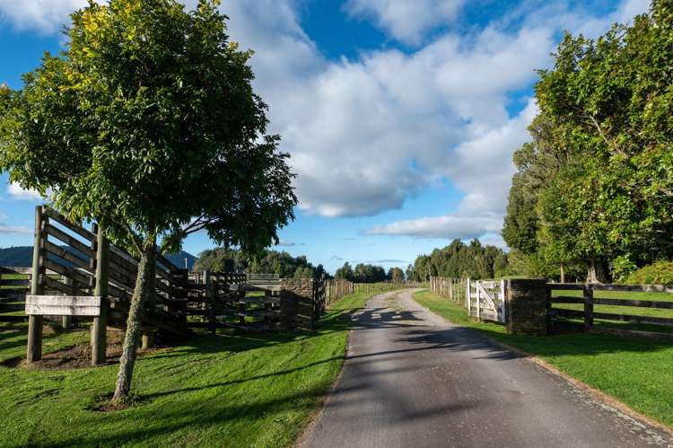 73 Te Manu Road Ngongotaha Valley_43