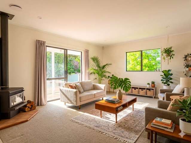 Nikau Street New Lynn_1