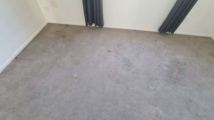 33 Kotuku Street Elsdon_6