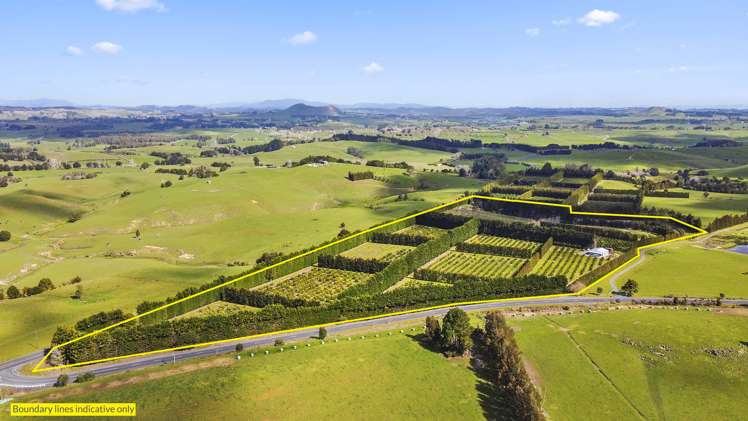 908 Te Ahu Ahu Road Waimate North_17