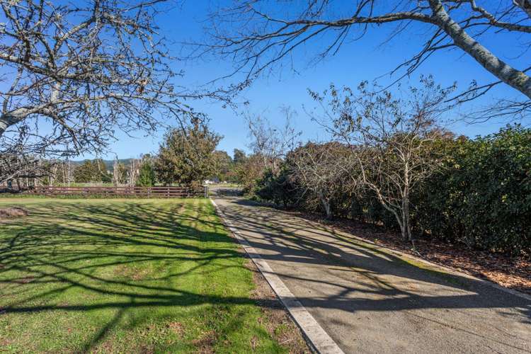 95 White Pine Bush Road Whakatane_31