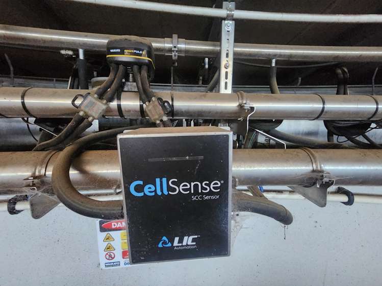 339A South Road Hawera_11