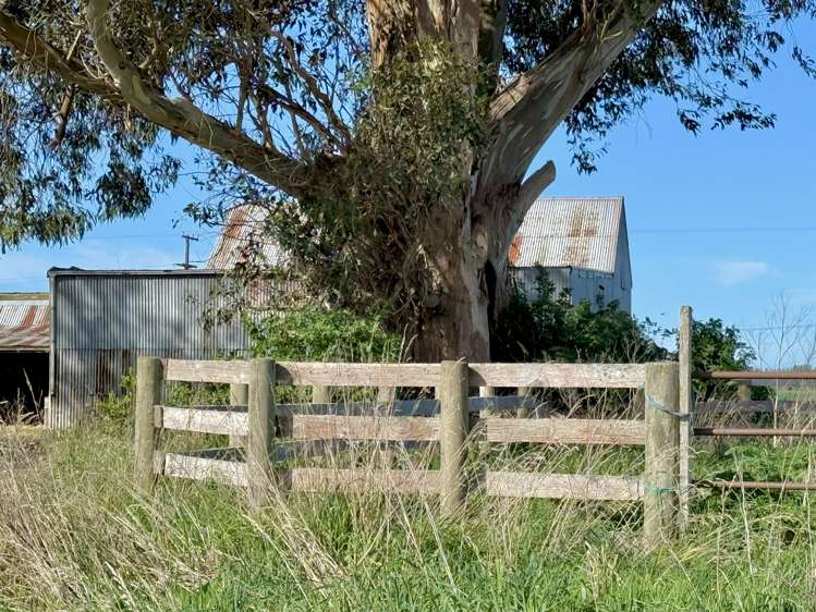 Willowbridge Road Waimate_27