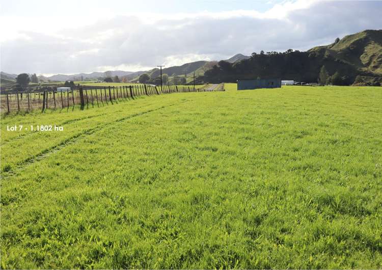 632 Mangaotuku Road Tututawa_12