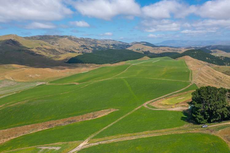 324 Reeces Road Waipara_3