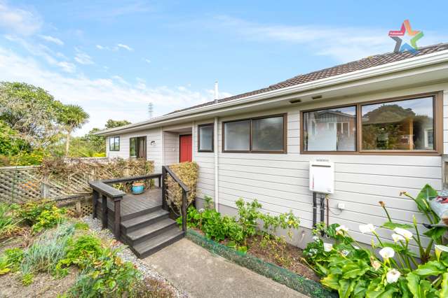 42 Matuhi Street Tirohanga_2