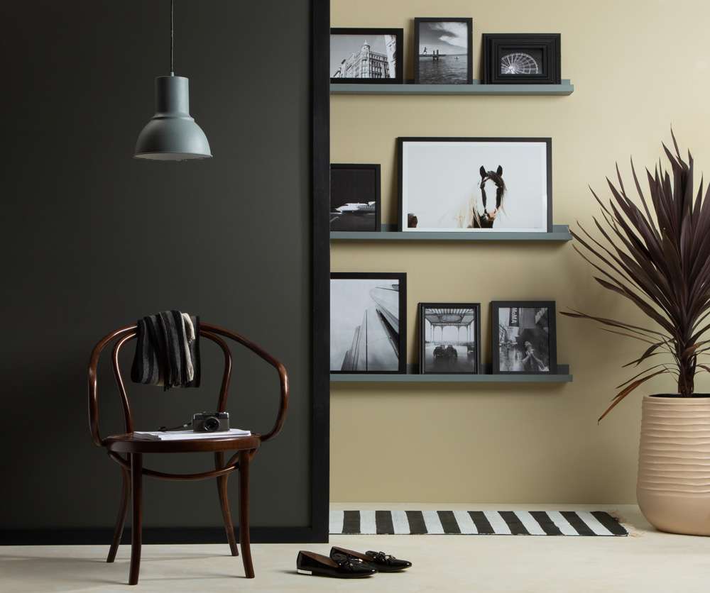 Bright and punchy, dark and moody, whatever your preference, multiple colours bring life to any space.