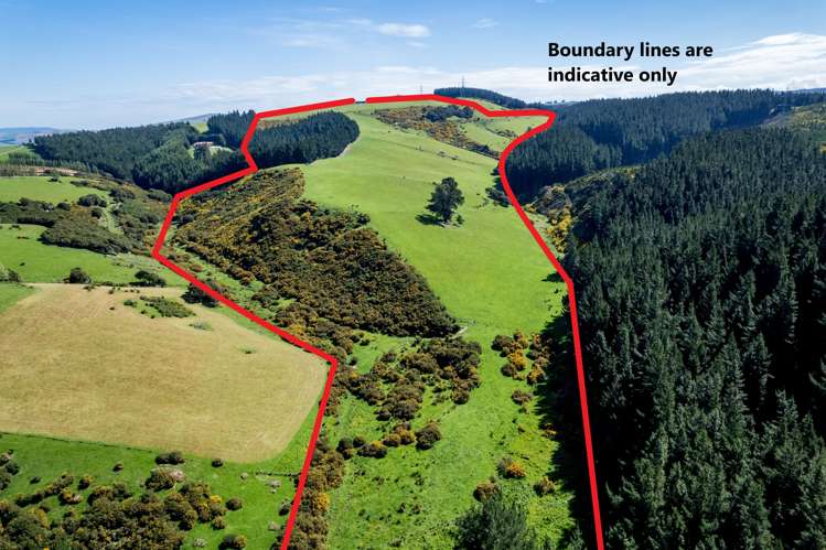 Waihola Hill Road Milton_10