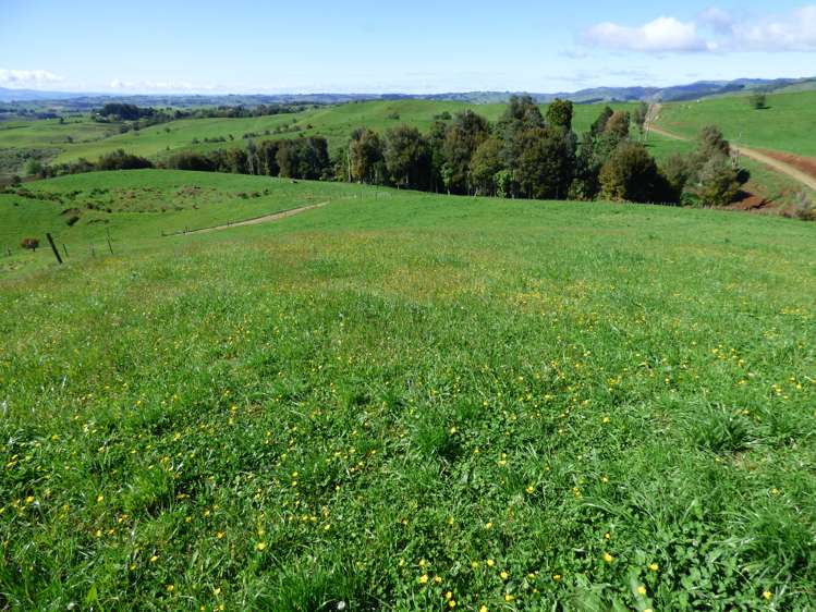 2229 State Highway 31, Kawhia Road Otorohanga_4