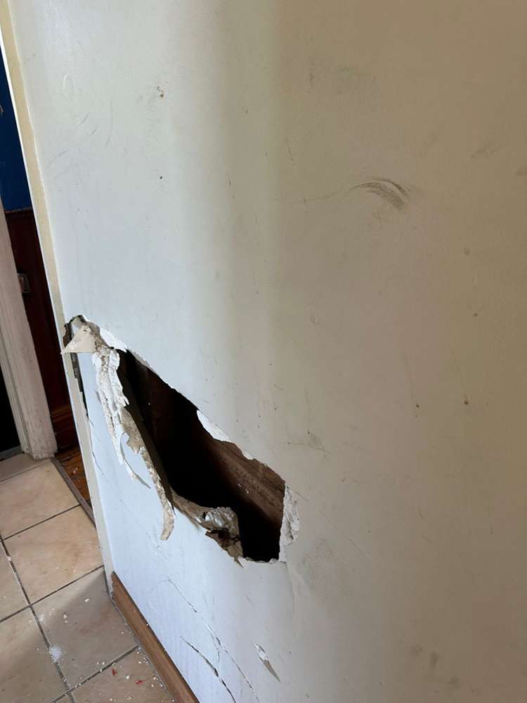 89 Elm Row Dunedin Central_10