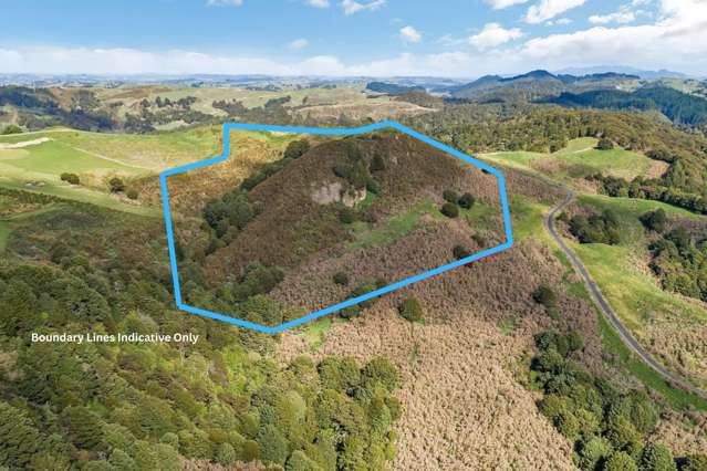 Lot 16 Waipu Caves Estate Drive (Pvt) Waipu_1