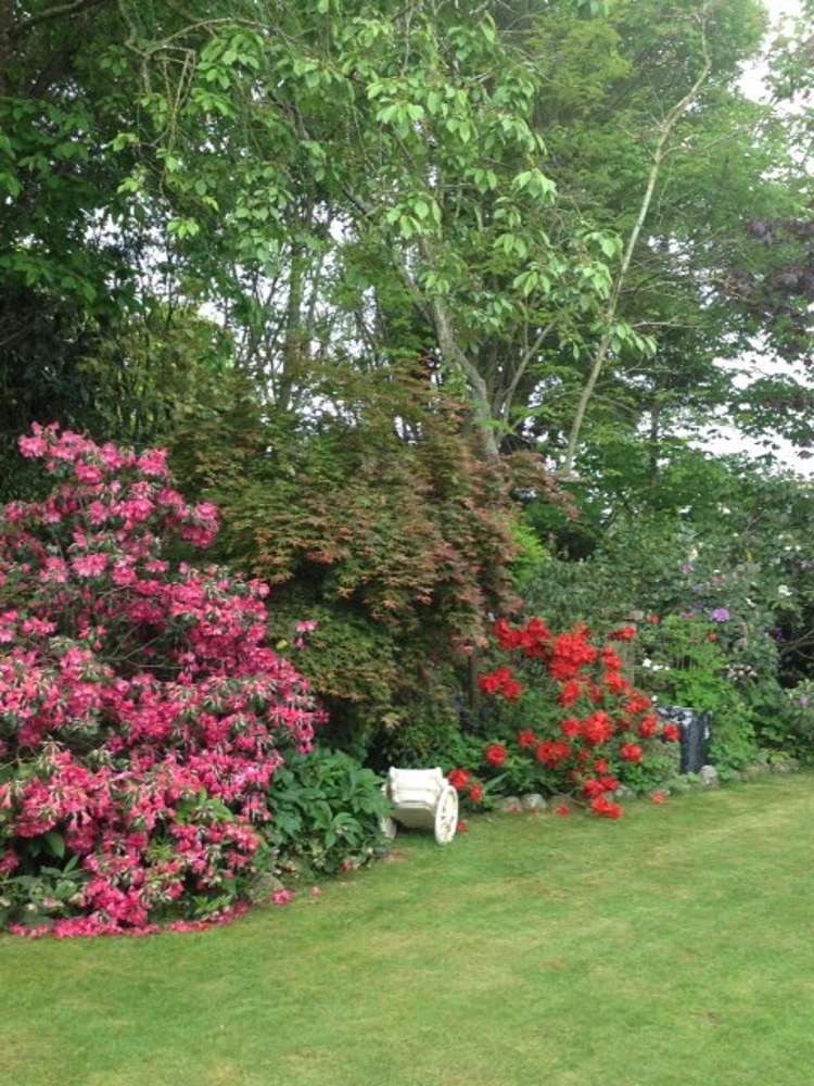 100 Oakleys Road Mayfield_19