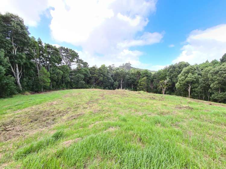 4 Mcdonnell Road Mangapai and Surrounds_19