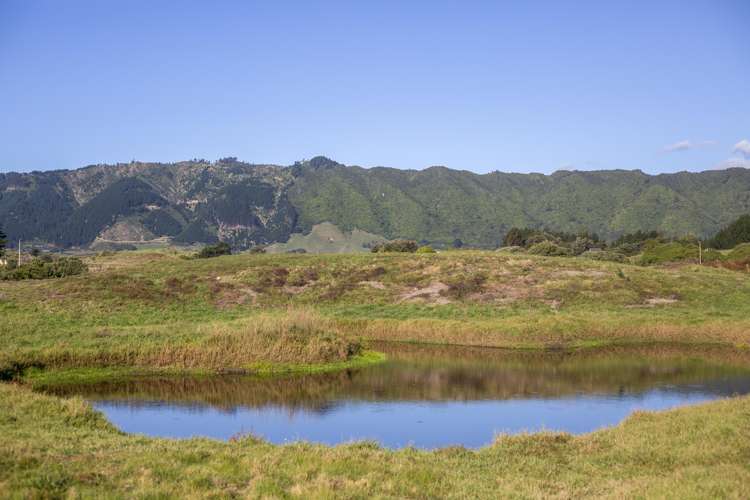 168 Paetawa Road Peka Peka_5