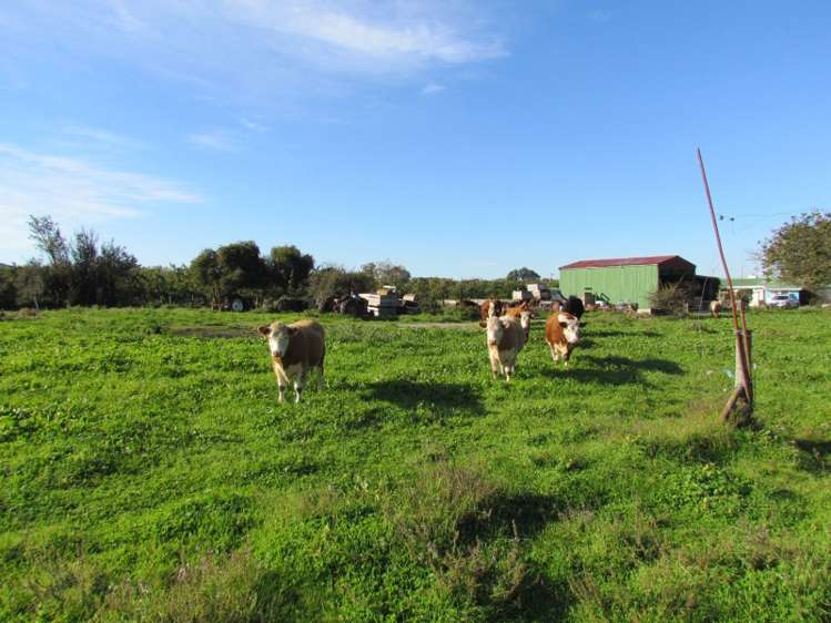 749 Swamp Road Puketapu_10