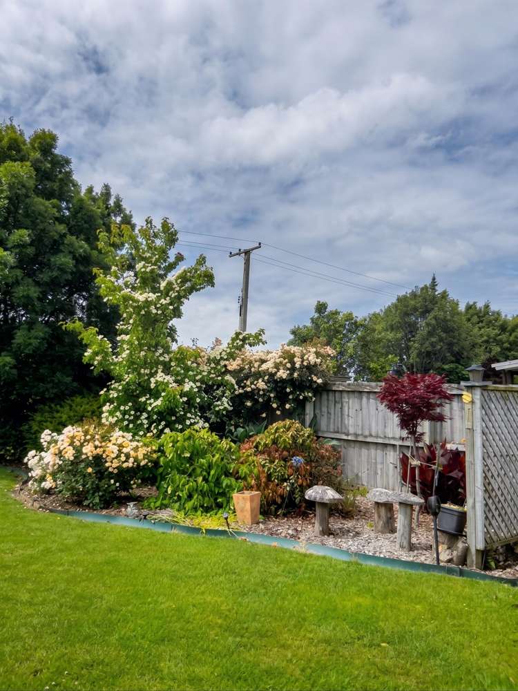 8 Ford Mews Springston_17
